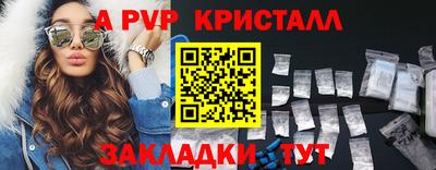 стаф Владимир