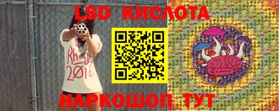 стаф Владимир