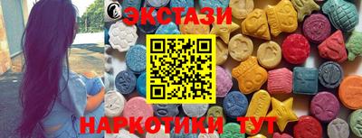 стаф Владимир