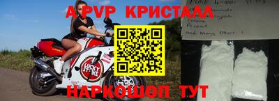 стаф Владимир