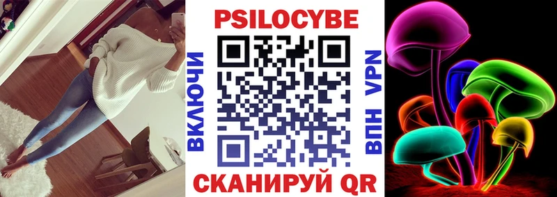 Галлюциногенные грибы Magic Shrooms блэк спрут зеркало Курганинск как найти закладки